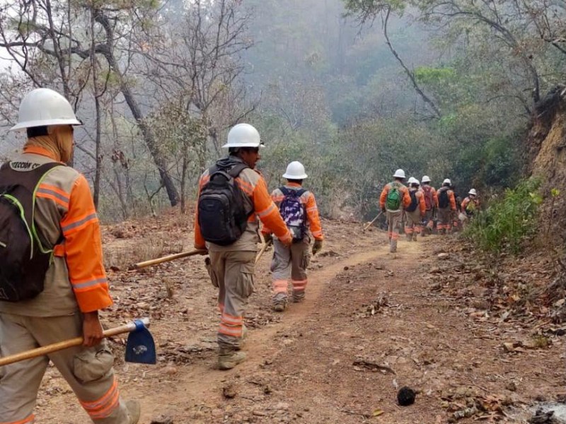 Van 44 incendios forestales registrados en Chiapas