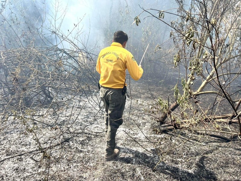 Van 8 personas detenidas por iniciar incendios en Tepic