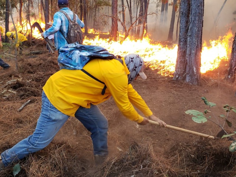 Van al menos 164 incendios en este 2023 en Michoacán