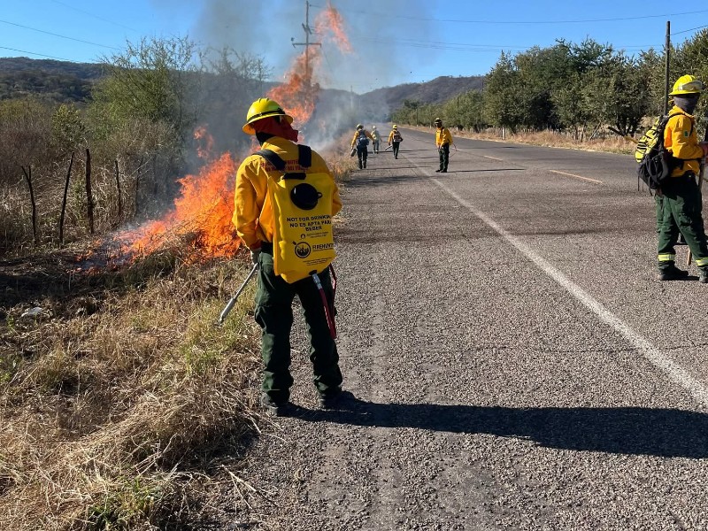 Van contra Incendios forestales en Choix 2026 | Meganoticias