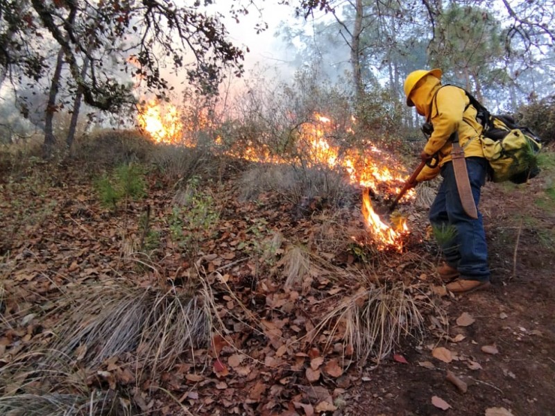 Van más de 200 incendios en Puebla