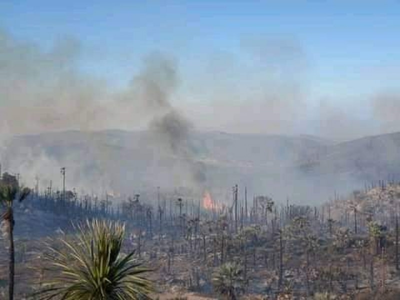 Van más de 80 conatos de incendio durante primer bimestre.