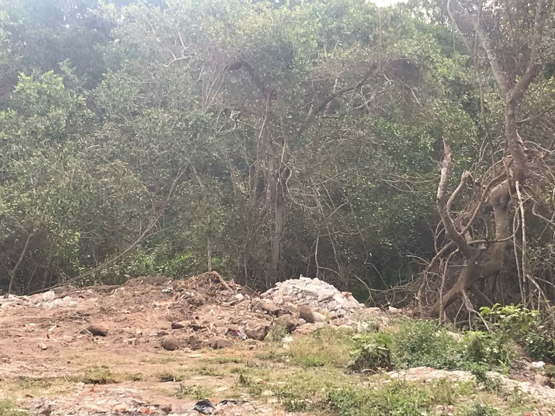 Van por fosas clandestinas en manglares de Boca del Río