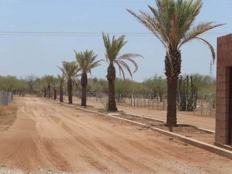 Van tres negocios clausurados por venta ilegal de terrenos campestres