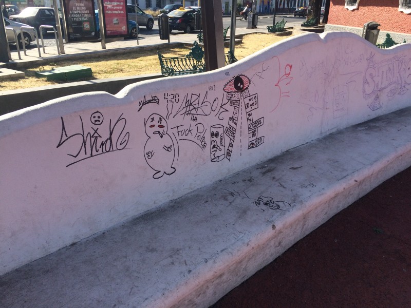 Denuncian vandalismo en el Paseo Bravo