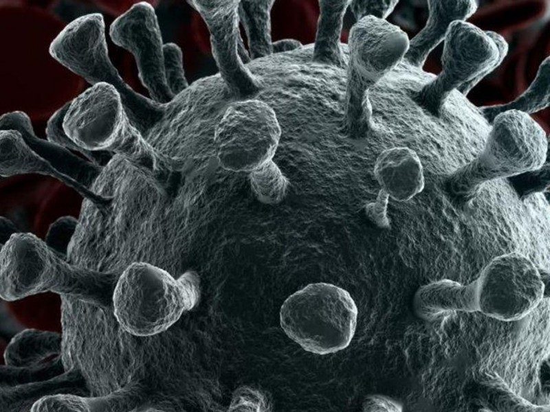 Variante Delta de coronavirus podría estar circulando en Nayarit