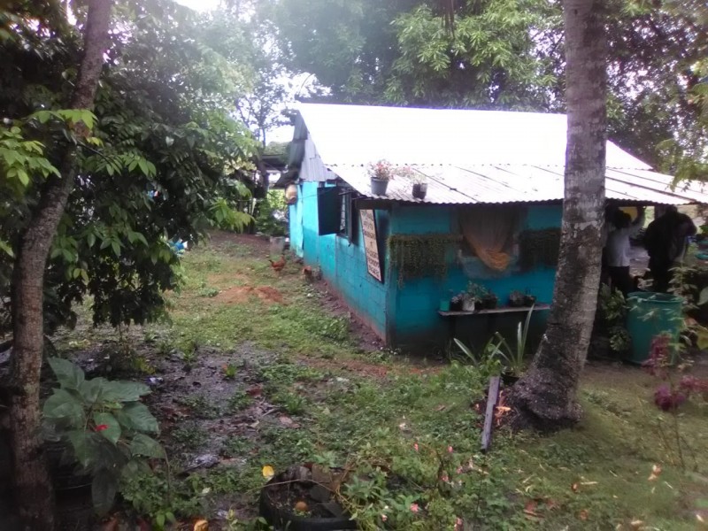 Varías comunidades y colonias afectadas por lluvia