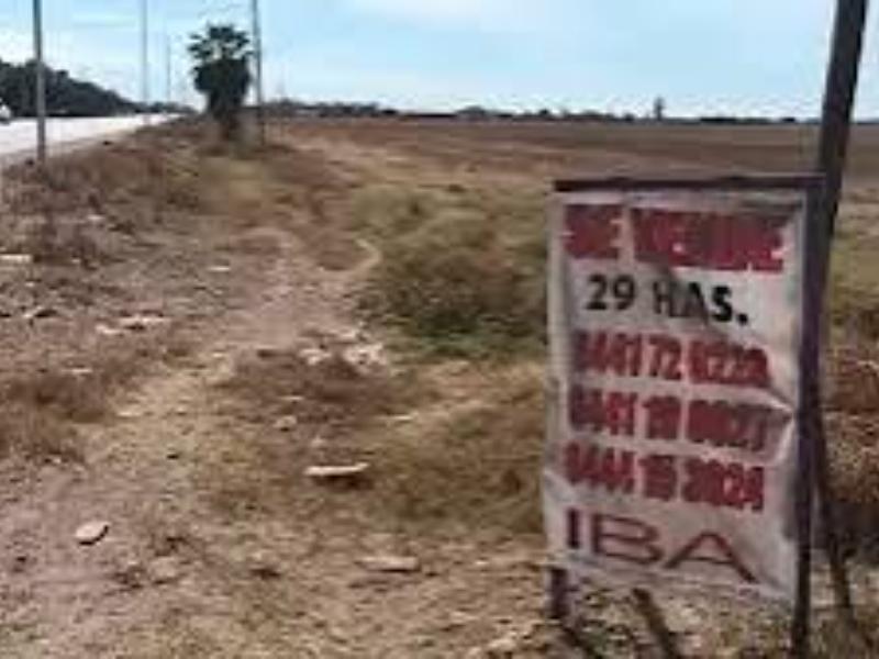 Varias generaciones de agricultores al borde de perderlo todo