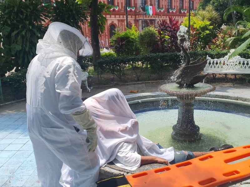 Varios afectados por ataque de abejas en el jardín Libertad