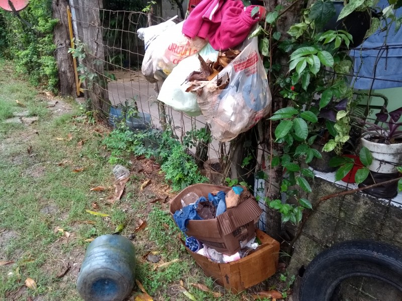 Se acumula basura en colonia Rodríguez Cano