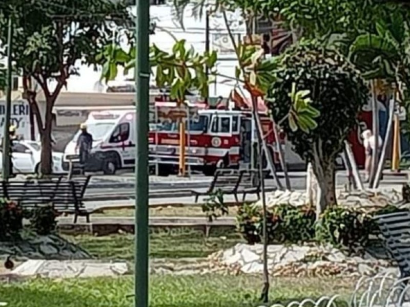 Varios lesionados por ataque de abejas en jardín San Francisco