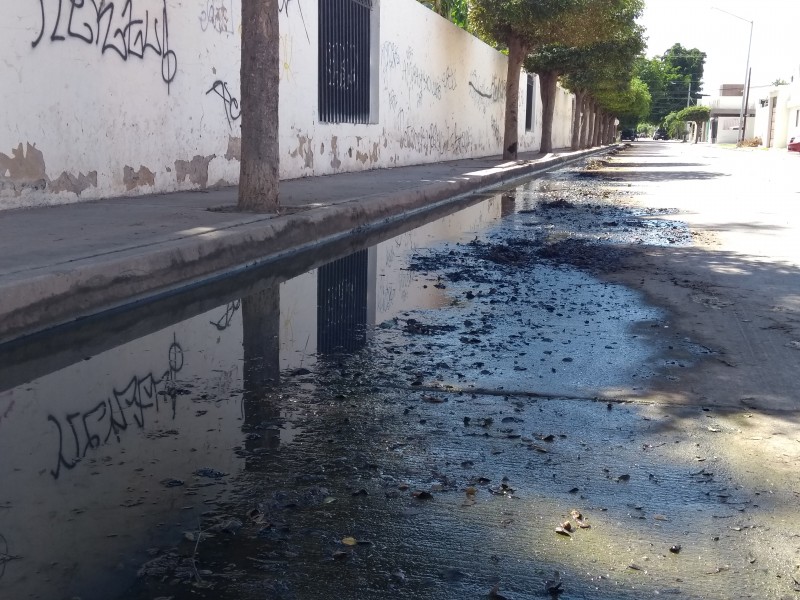 Vecinas solicitan apoyo de limpieza por aguas negras