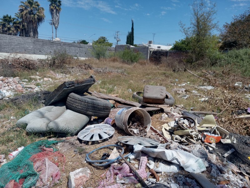 Vecinos de Alamos 1 denuncian solares baldíos en abandono