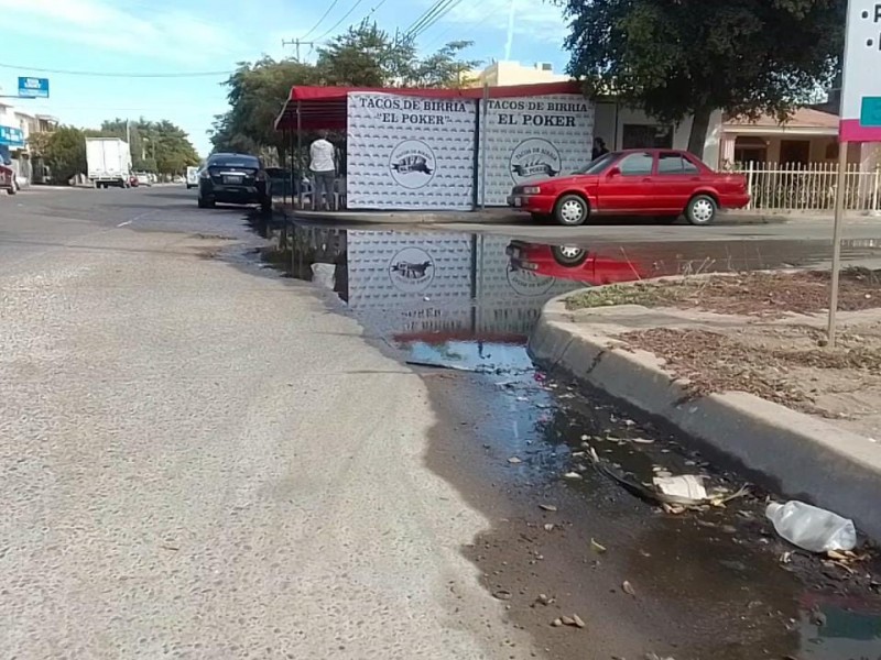 Vecinos de Colonia Anáhuac denuncian fugas de agua potable