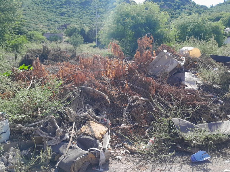 Vecinos de Colonia  Vecinos de Colonia