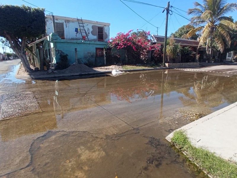 Vecinos de Colonia Estrella denuncian brote de aguas negras