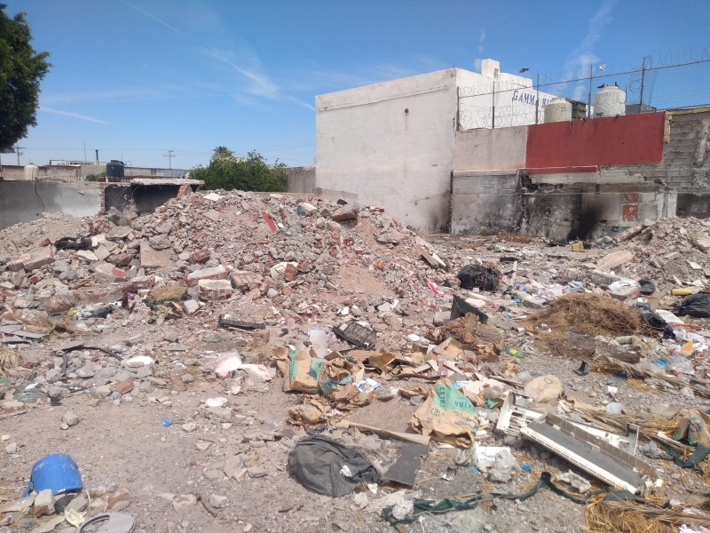 Vecinos de colonia Olivares piden limpieza de propiedad