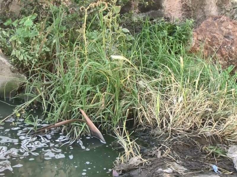 Vecinos de colonia tecnológica denuncian descarga de aguas negras