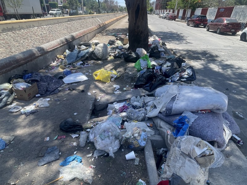 Vecinos de el mirador denuncian problemas con basura y pepenadores