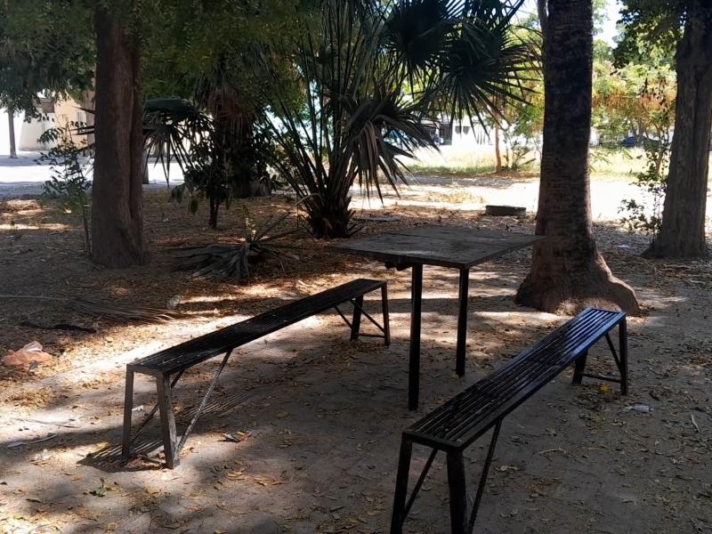 Vecinos de Fovissste 4 denuncian presunto despojo de áreas verdes