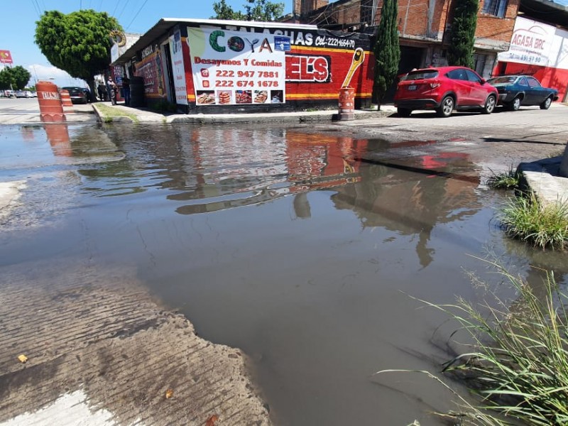 Vecinos de Granjas del Sur denuncian encharcamientos