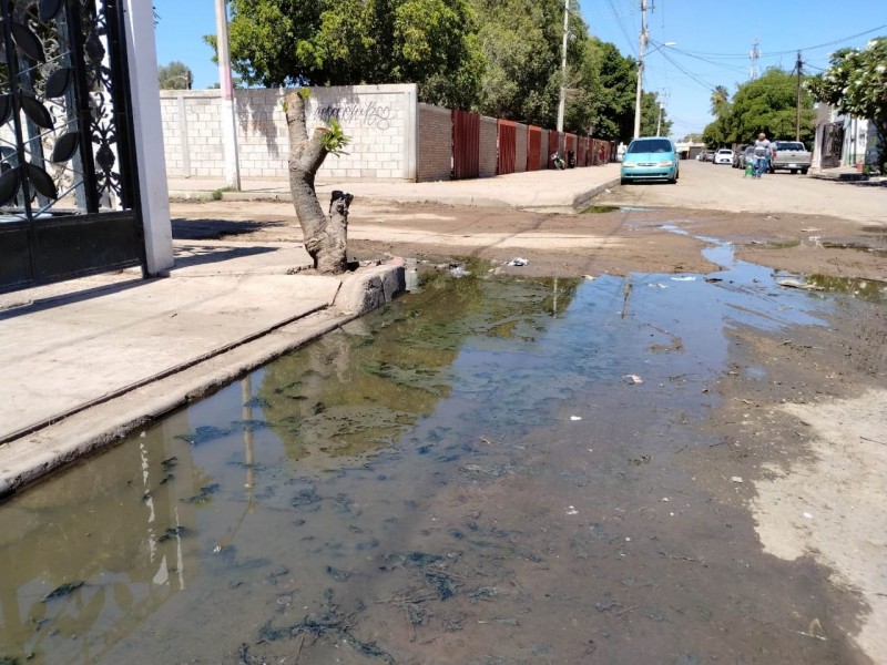 Vecinos de la 410 denuncian afectaciones por colapso de drenaje