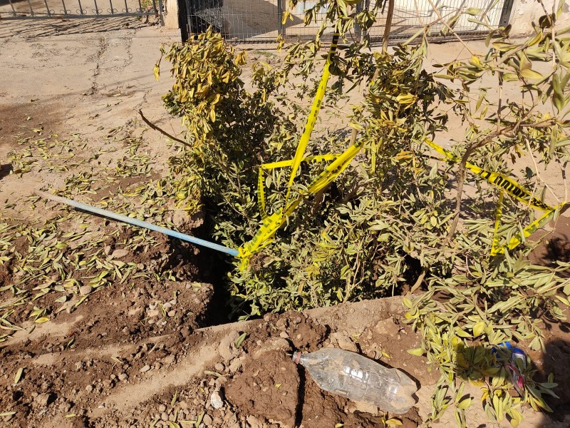 Vecinos de la Calle Colón demandan a JUMAPAG agilizar trabajos