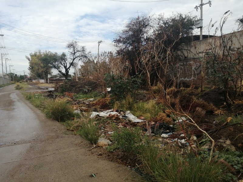 Vecinos de la colonia Albazul reportan acumulación de basura