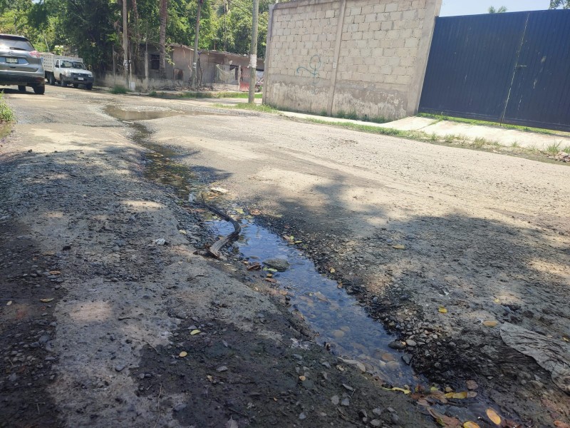 Vecinos de la Colonia Democrática piden mantenimiento integral