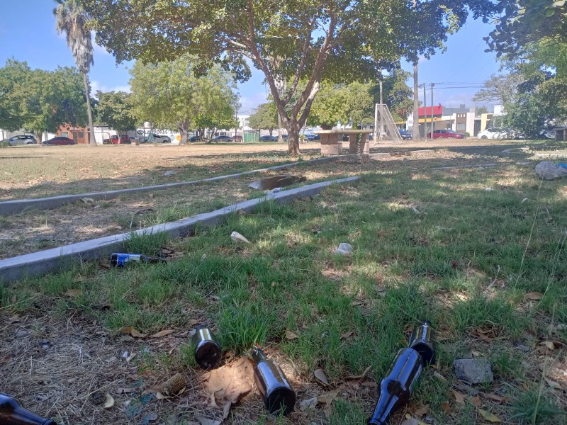 Vecinos de la colonia Florida exigen alumbrado público y limpieza en ...