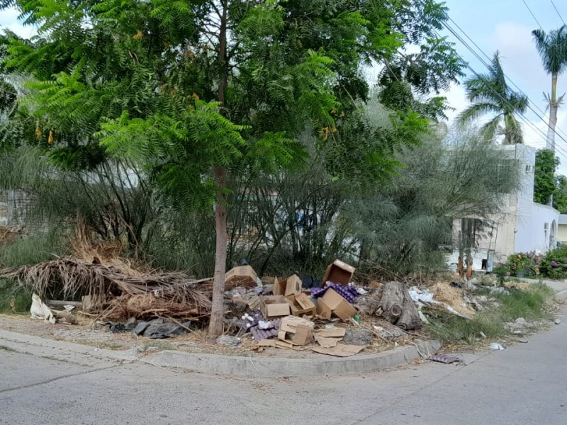 Vecinos de la colonia Insurgentes reportan contaminación en terreno abandonado