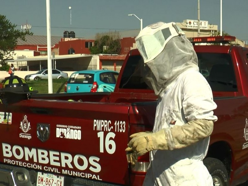 Vecinos de la explanada son atacados por abejas