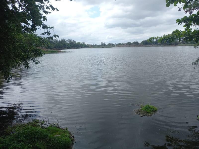 Vecinos de la laguna Lagartos piden alumbrado