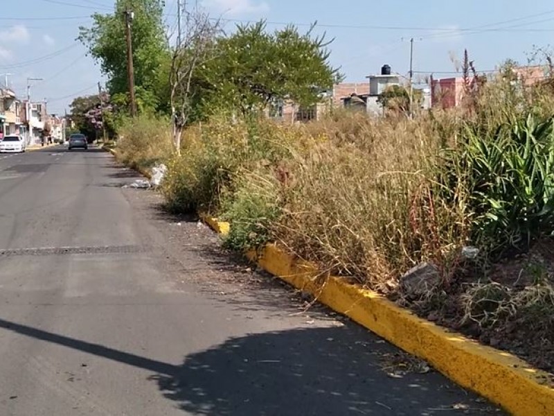 Vecinos de la Leandro Valle denuncian descuido de área verde