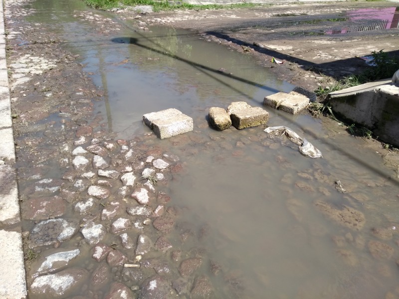 Vecinos de la Lomita viven entre aguas negras