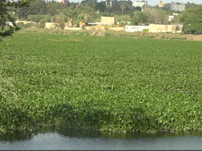 Vecinos de la presa Las Pintas con temor por las lluvias