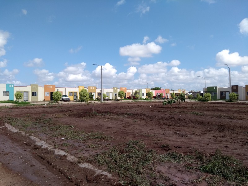 Vecinos de Las Canteras luchan por áreas verdes