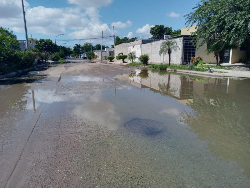 Vecinos de las Canteras piden reparación de drenajes colapsados