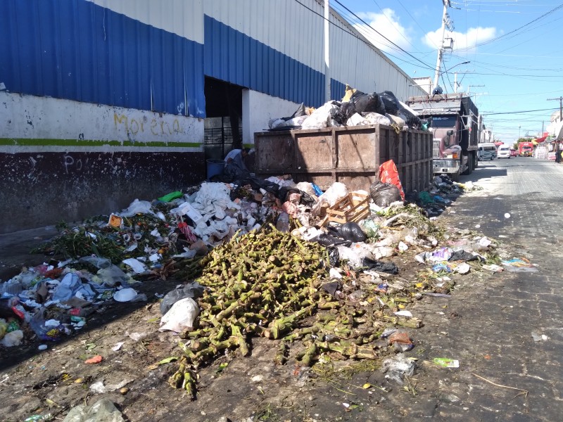 Vecinos de otras colonias están dejando basura en la Purísima