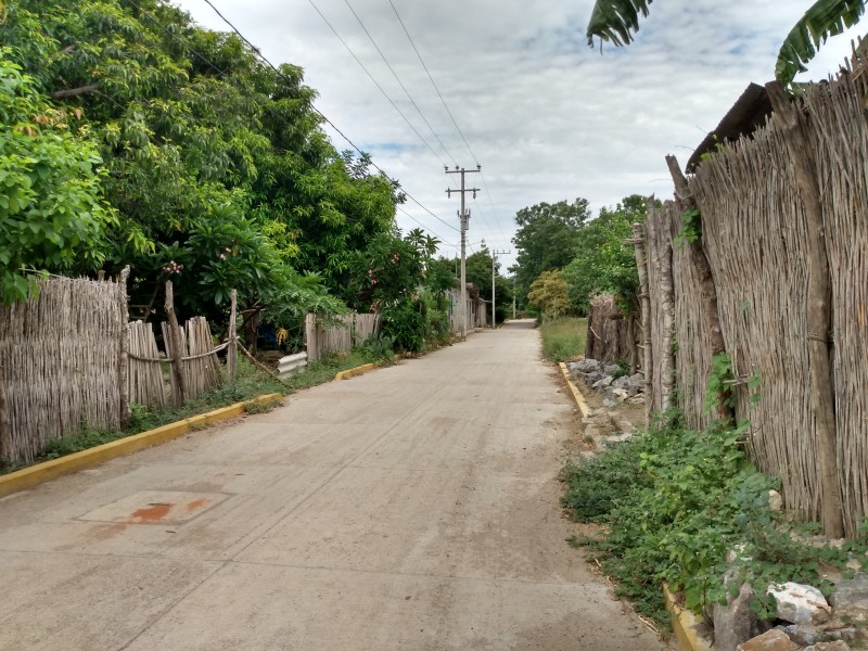 Vecinos de Santa María Mixtequilla solicitan fumigaciones