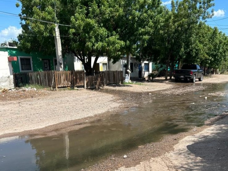 Vecinos de Tierra Blanca sin respuesta ante brote de drenajes