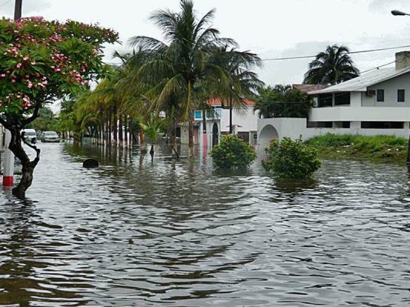 Vecinos del Fraccionamiento Floresta temen inundaciones