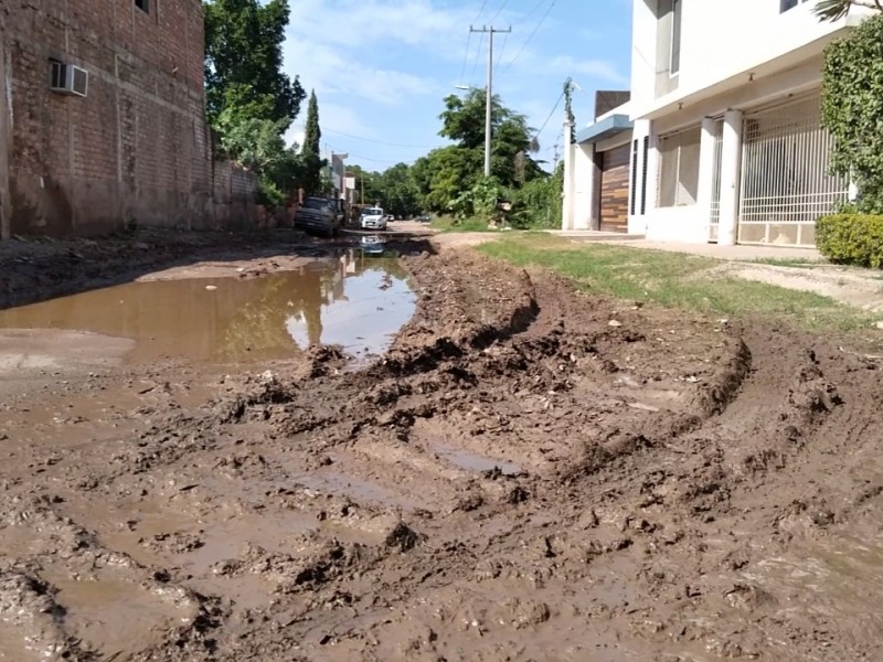 Vecinos del Fraccionamiento Las Delicias denuncian encharcamientos por aguas negras