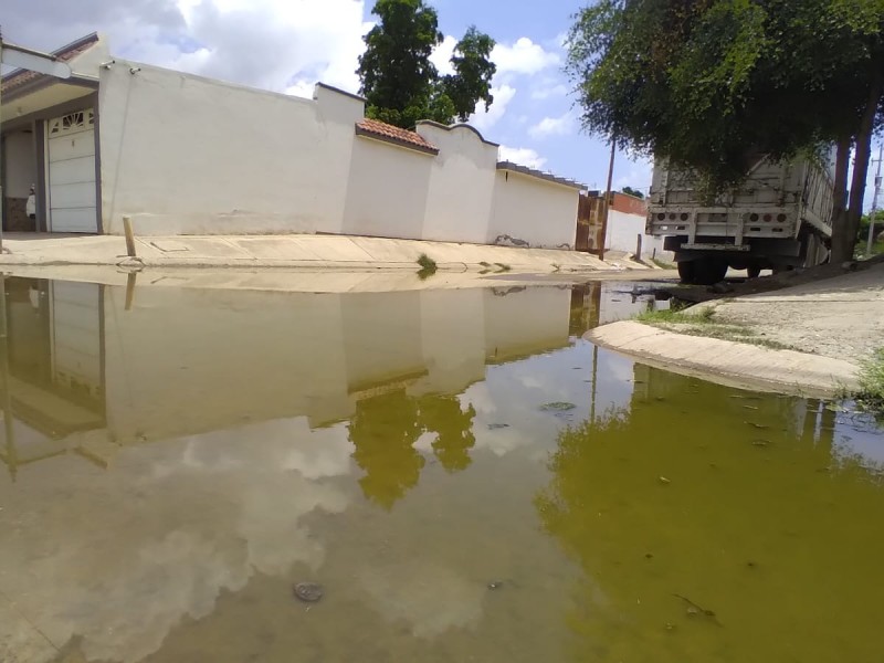 Vecinos del fraccionamiento Margaritas no soporta más el drenaje colapsado