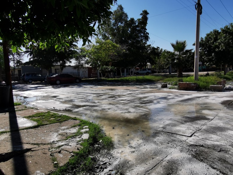 Vecinos del sector Macapule piden solución definitiva a drenajes colapsados