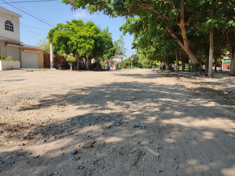 Vecinos demandan mantenimiento a las calles en la colonia Petatlán