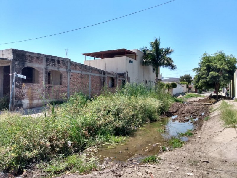 Vecinos denuncian abandono de las autoridades municipales en calles