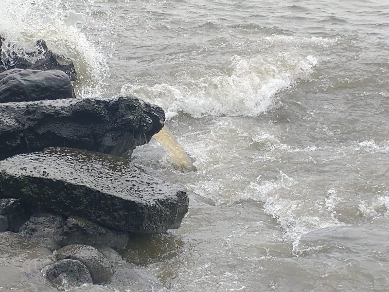 Vecinos denuncian descarga de aguas negras al Río Jamapa.