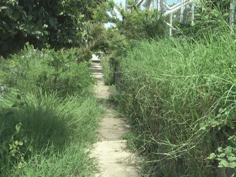 Vecinos denuncian descuido de jardín de la colonia