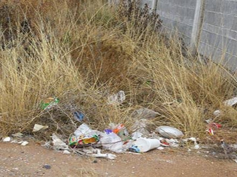 Vecinos denuncian excesiva basura en calle Anemona